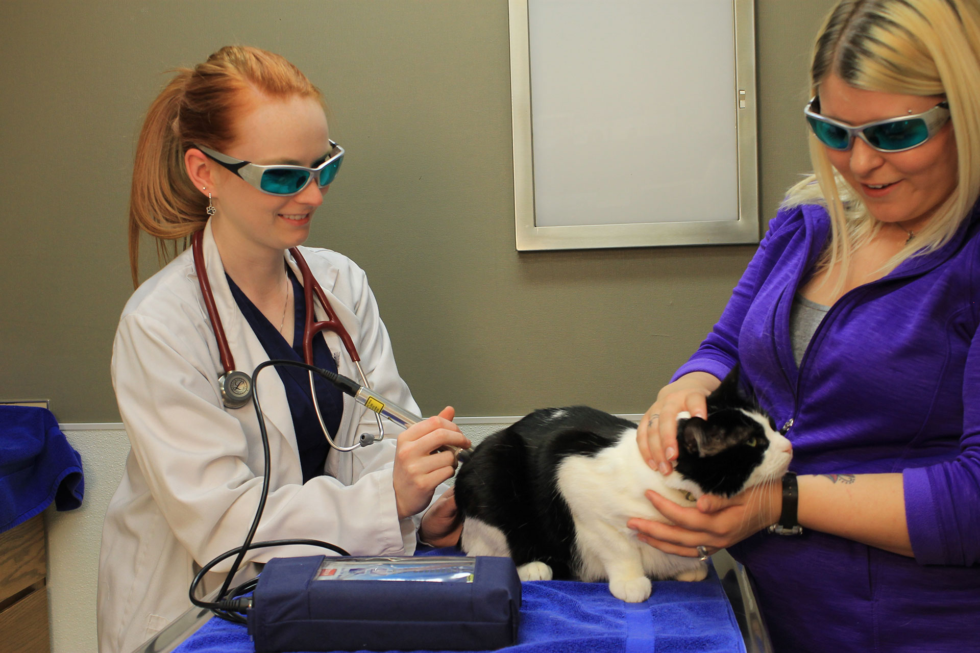 Laser Therapy  Dickson City, PA 